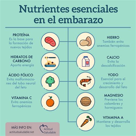 Infografía sobre los nutrientes esenciales en el embarazo y sus fuentes alimentarias.