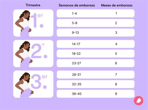infografía mostrando la tabla de conversión de semanas a meses de embarazo