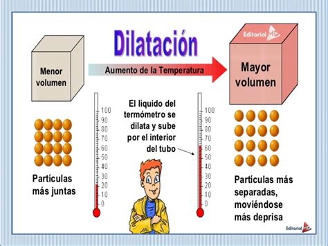 Esquema sobre el proceso de dilatación y la elasticidad de los tejidos en embarazos múltiples.