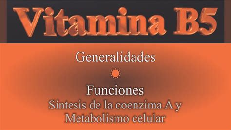 Esquema de las funciones metabólicas de la vitamina B5