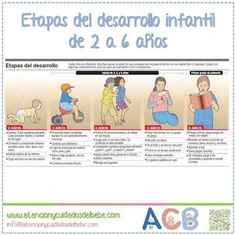 Esquema de las etapas del desarrollo infantil desde el nacimiento hasta los 2 años
