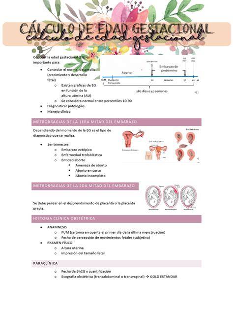 Diagrama de flujo para el cálculo de la edad gestacional