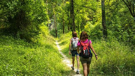 Fotografía de una familia realizando una ruta de senderismo en el paisaje verde de Asturias