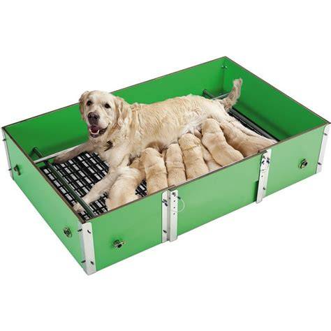 Caja de parto o paridera preparada para perros