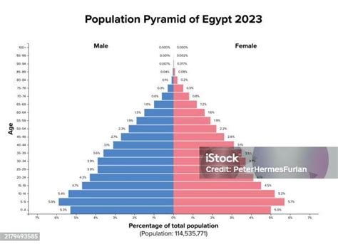 Pirámide de población de Egipto que muestre su estructura demográfica actual