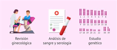 diagrama de flujo de las pruebas médicas para donantes de óvulos