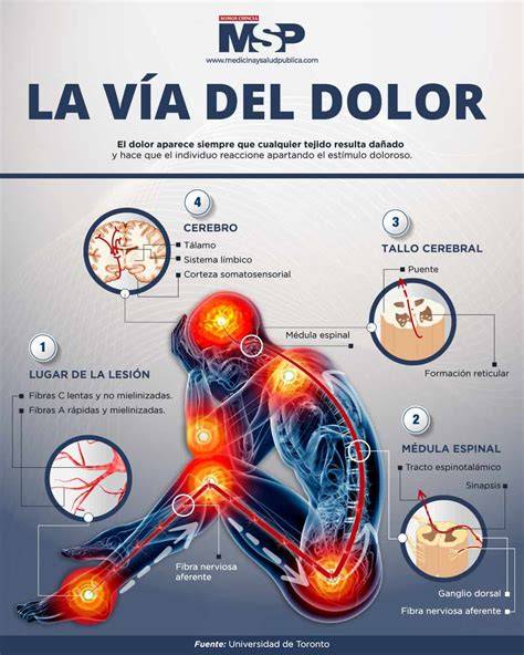 Infografía comparando la intensidad del dolor menstrual con el dolor de un ataque al corazón, apendicitis y cálculo renal.