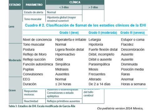 Escala de valoración de la Encefalopatía Hipóxico-Isquémica (García Alix)