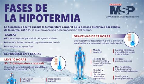 Infografía de las tres fases de la hipotermia inducida