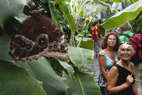 Niños explorando el mariposario del Parque de las Ciencias de Granada.