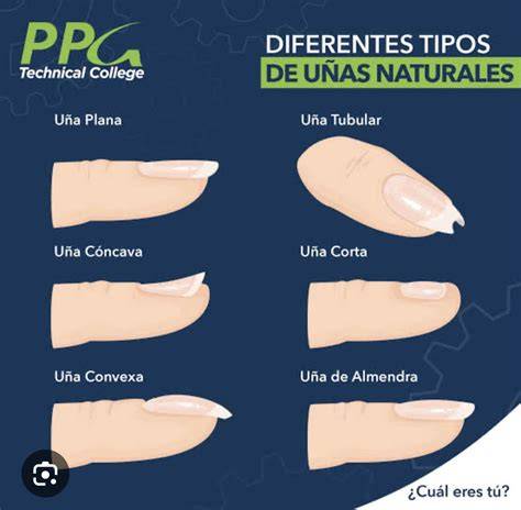Infografía que muestra las diferentes formas de colchonetas: planas frente a curvadas con bordes de seguridad.