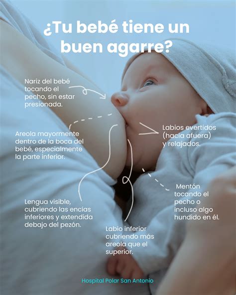 Esquema con pasos detallados para un agarre correcto al amamantar