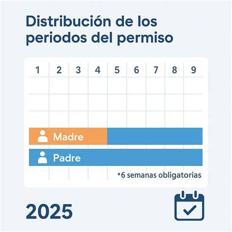 Gráfico que ilustre la distribución flexible y a tiempo parcial del permiso de nacimiento