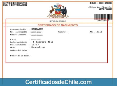 Esquema de un certificado de nacimiento con los datos clave