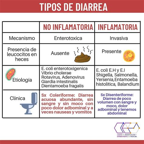 Infografía sobre los tipos de diarrea en potros