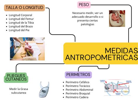 Esquema de las mediciones antropométricas clave en un recién nacido