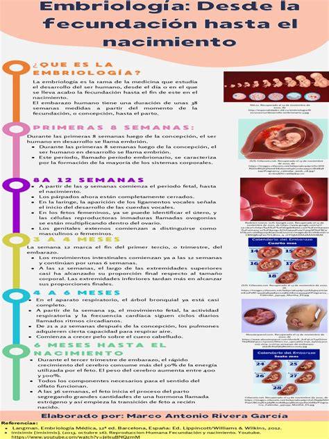 Infografía que muestra el proceso desde la sospecha de embarazo hasta la confirmación mediante análisis de laboratorio.