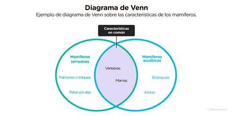 Diagrama de Venn mostrando las características compartidas y únicas de los cambiadores fijos y portátiles.