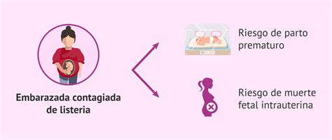 Infografía: Impacto de la listeriosis en el desarrollo fetal por trimestre