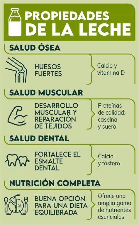 Infografía: Nutrientes esenciales de la leche y sus beneficios para la salud adulta