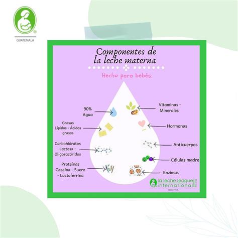 Infografía: Transferencia de nutrientes de la madre al bebé a través de la leche materna