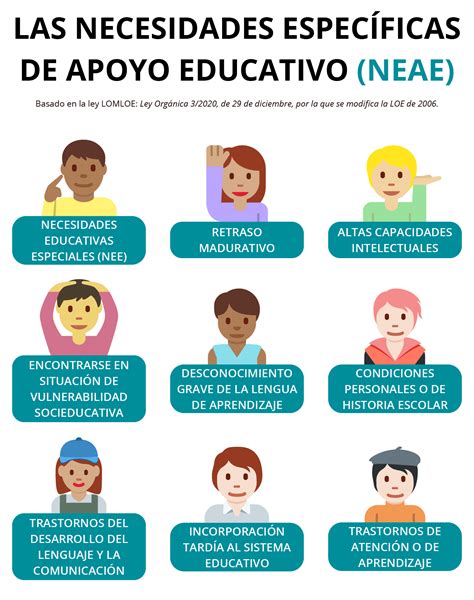Infografía detallando los tipos de necesidades específicas de apoyo educativo y los gastos adicionales que cubren las ayudas.