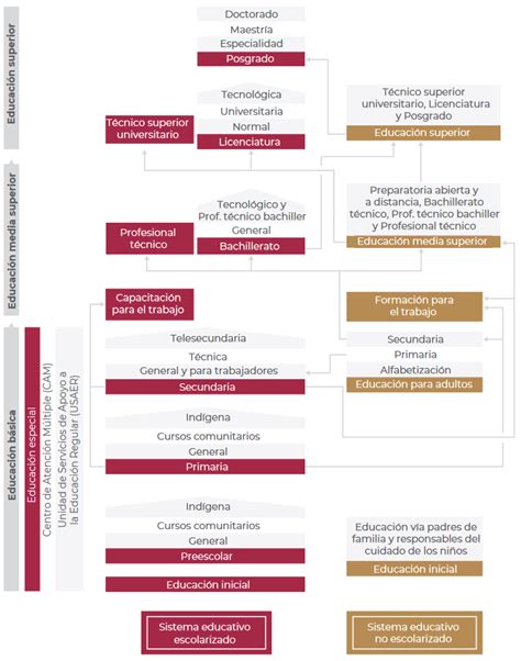 Esquema de la estructura de formación de residentes en la unidad de cirugía cardíaca pediátrica del Hospital La Paz, detallando las rotaciones y especializaciones.