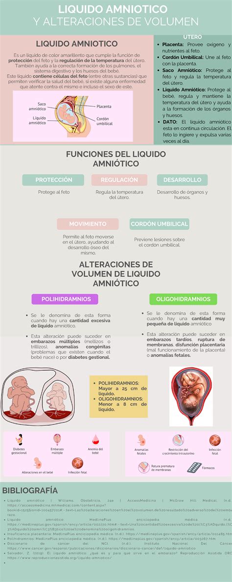 infografía sobre la composición y funciones del líquido amniótico