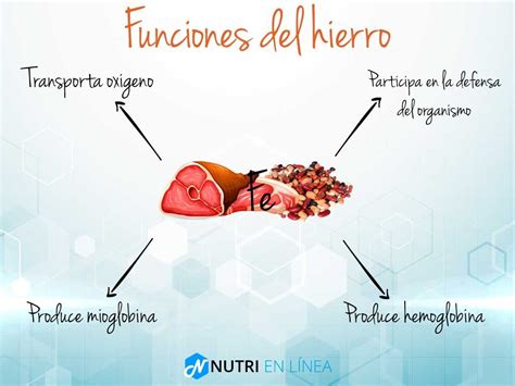 Infografía detallando las funciones del hierro en el cuerpo humano.