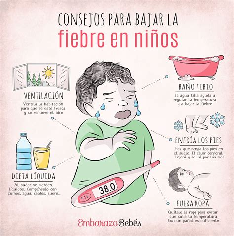 Infografía mostrando consejos para aliviar la fiebre en bebés: hidratación, ropa ligera, ambiente fresco y descanso.