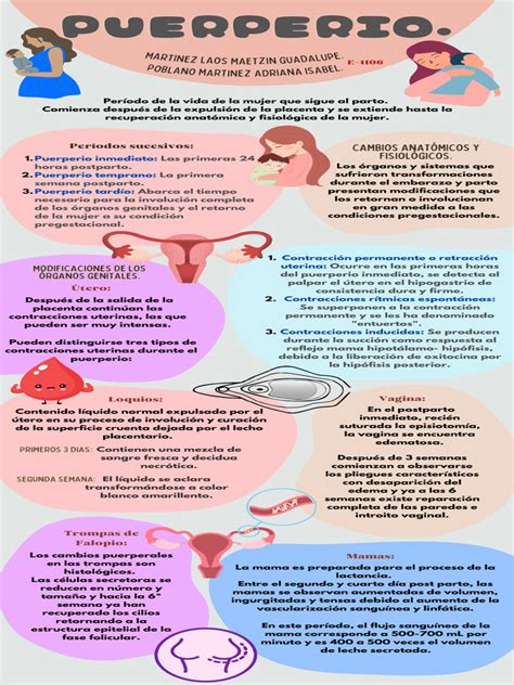 Infografía resumen de los cuidados posparto