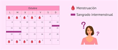 Infografía comparativa: flujo vaginal normal frente a sangrado intermenstrual leve durante la fase fértil.