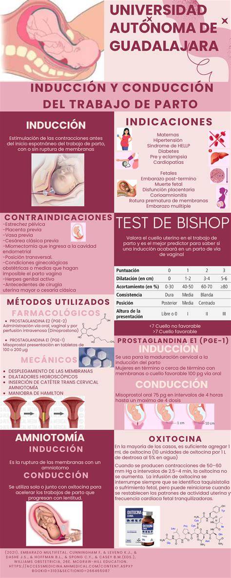 Infografía: Razones médicas y electivas para la inducción del parto
