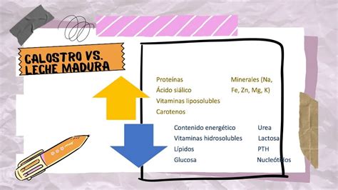 Infografía comparativa de la composición del calostro y la leche madura, destacando sus diferencias nutricionales y funciones protectoras.