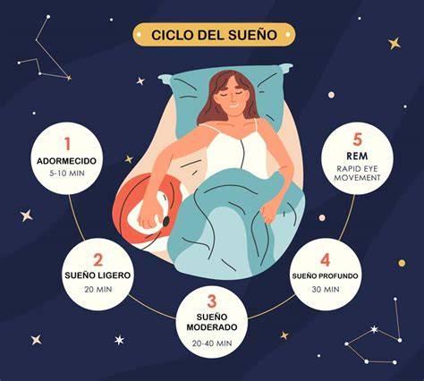 Infografía comparando el sueño REM de adultos con el sueño activo de recién nacidos