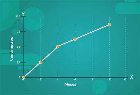 Representación gráfica de la disminución de ovocitos a lo largo de la vida de la mujer