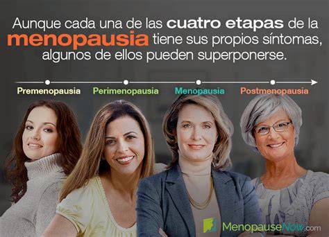 Esquema de las etapas reproductivas de la mujer: premenopausia, perimenopausia y menopausia