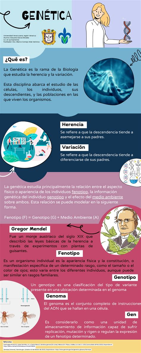 Infografía sobre la genética del color azul en bulldogs franceses y sus implicaciones