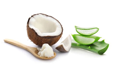 Foto de ingredientes naturales como aloe vera, avena y aceite de coco