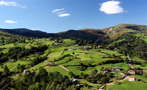 Paisaje rural de Galicia con animales