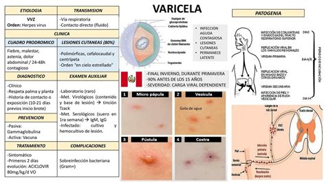 Esquema de las diferentes presentaciones de varicela en recién nacidos según el momento de infección