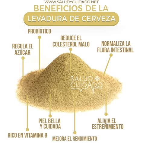 Infografía detallando los beneficios de la levadura de cerveza para la salud