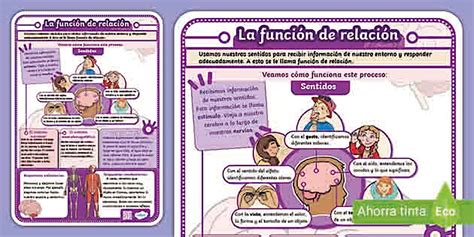 Esquema familiar que muestra la relación entre Raquel, Marc, sus hijos mayores Jan y Ona, y la pequeña Sofía.