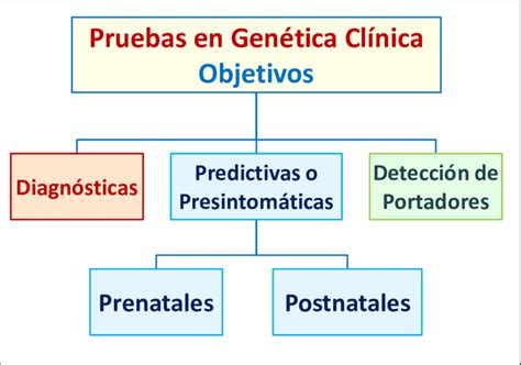 Infografía mostrando los diferentes tipos de pruebas genéticas para la infertilidad