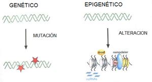 Diagrama que ilustra la diferencia entre genética y epigenética