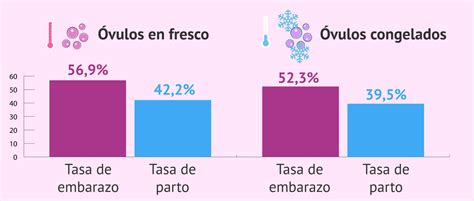 Gráfico de tasas de éxito de ovodonación (fresco vs. vitrificado)