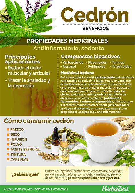 Infografía que compara los beneficios del té de cedrón para la digestión, el sueño y el estado de ánimo.