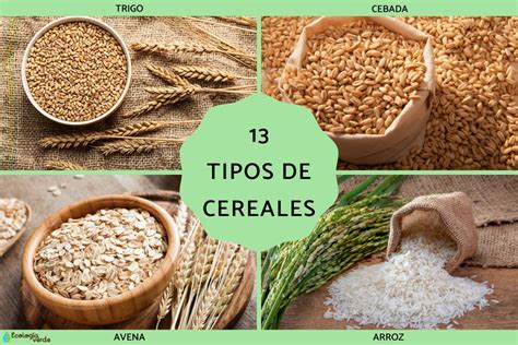 Infografía detallando los 8 tipos de cereales presentes en la papilla Nutribén