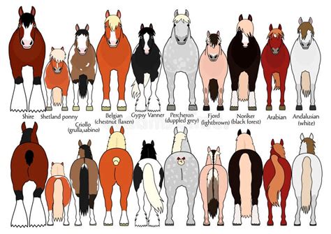 Ilustración comparativa de caballos clonados mostrando variaciones en las marcas del pelaje.