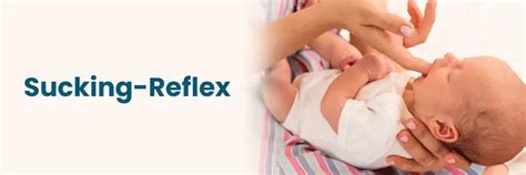 Gráfico que muestra la curva de desarrollo del reflejo de succión en bebés.